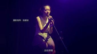 欲望歌手,探寻音乐与情感的交织之旅